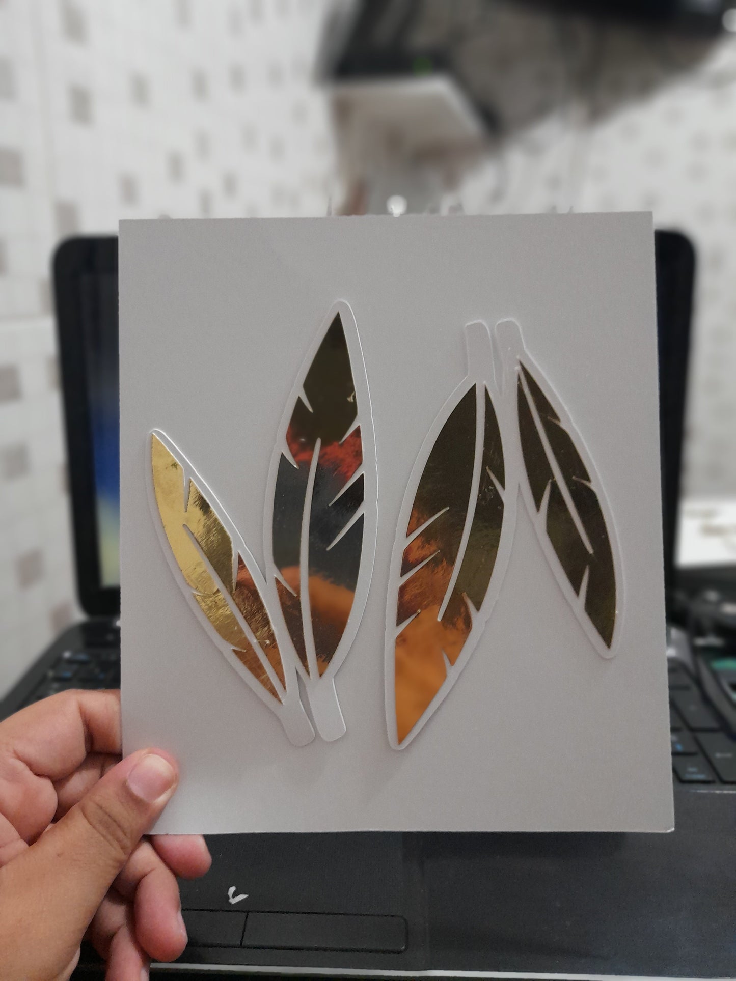 2.94 pluma