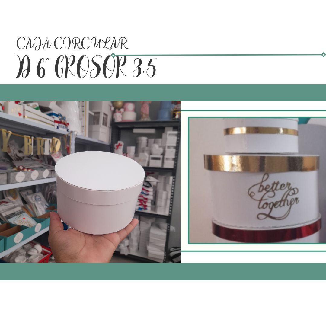 CG2 D6" Grosor 3.5"