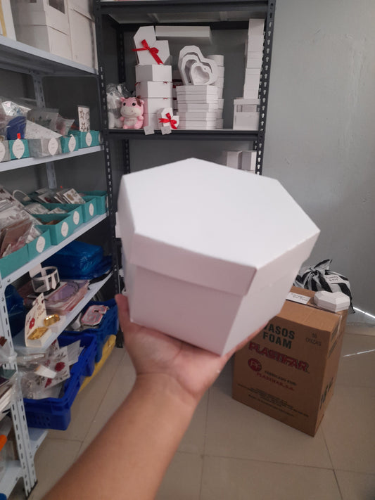 2.04 hexagonal grande