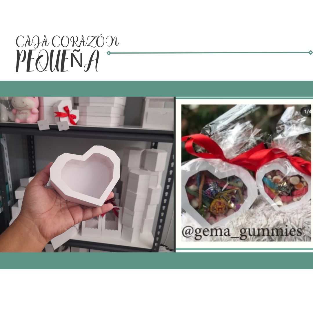 2.05 Corazon BSA
