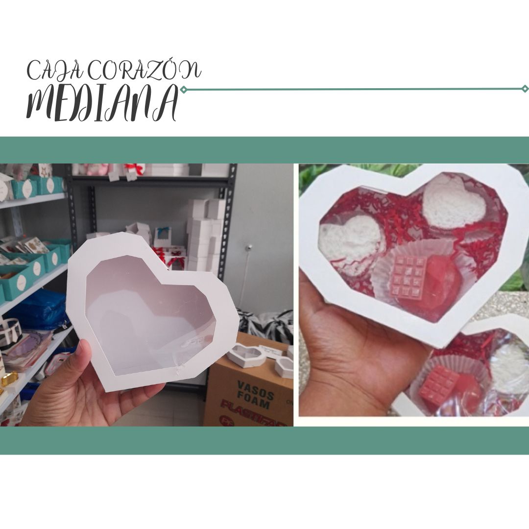 2.05 Corazon BSA