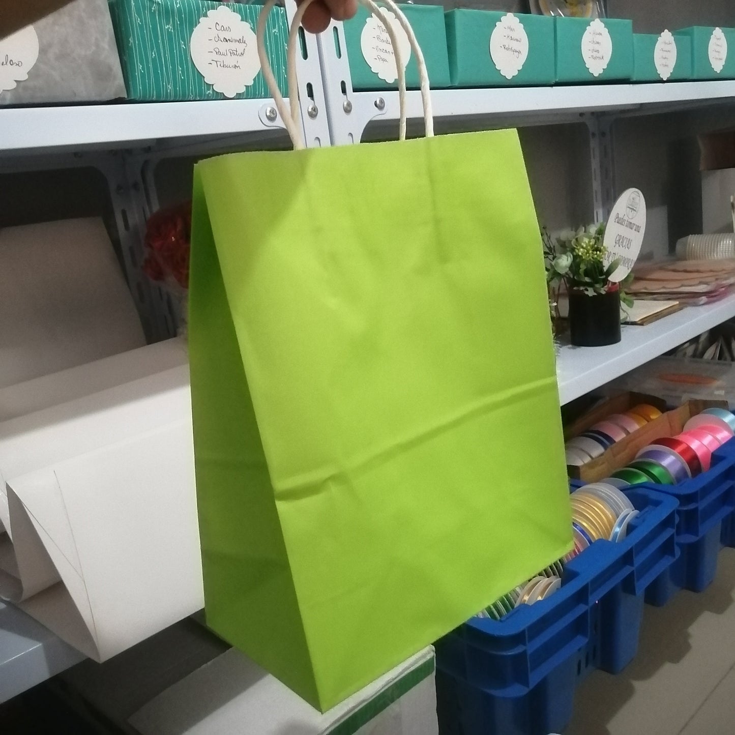 Bolsas de papel BP3  10x8