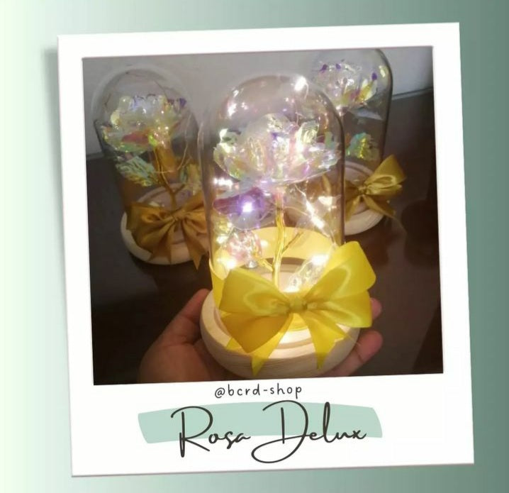 BCRD cúpulas de  rosas con luces
