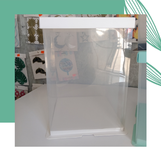 2.2 Cajas de acetato 22x22x24 cm