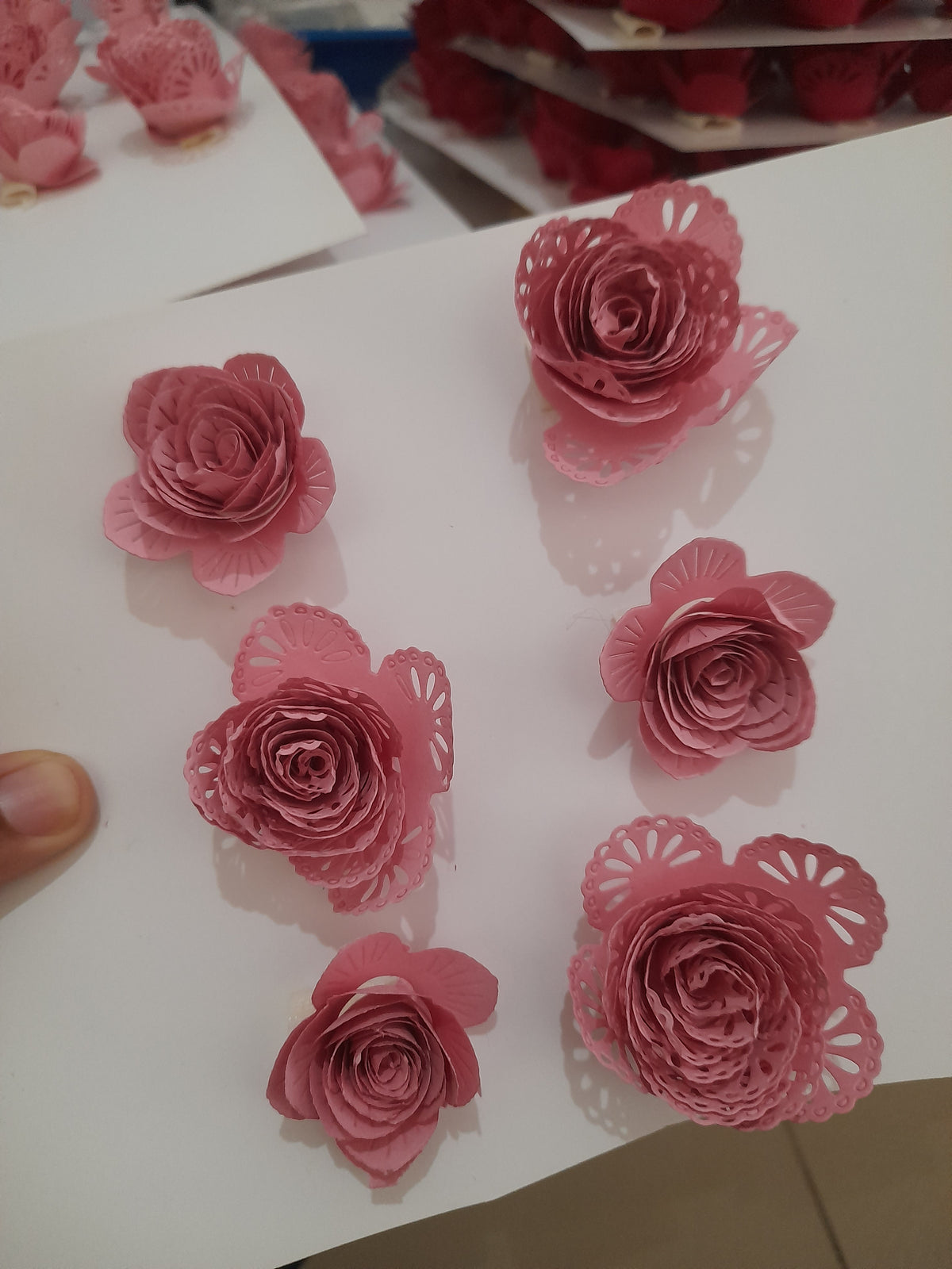 Flores Espirales