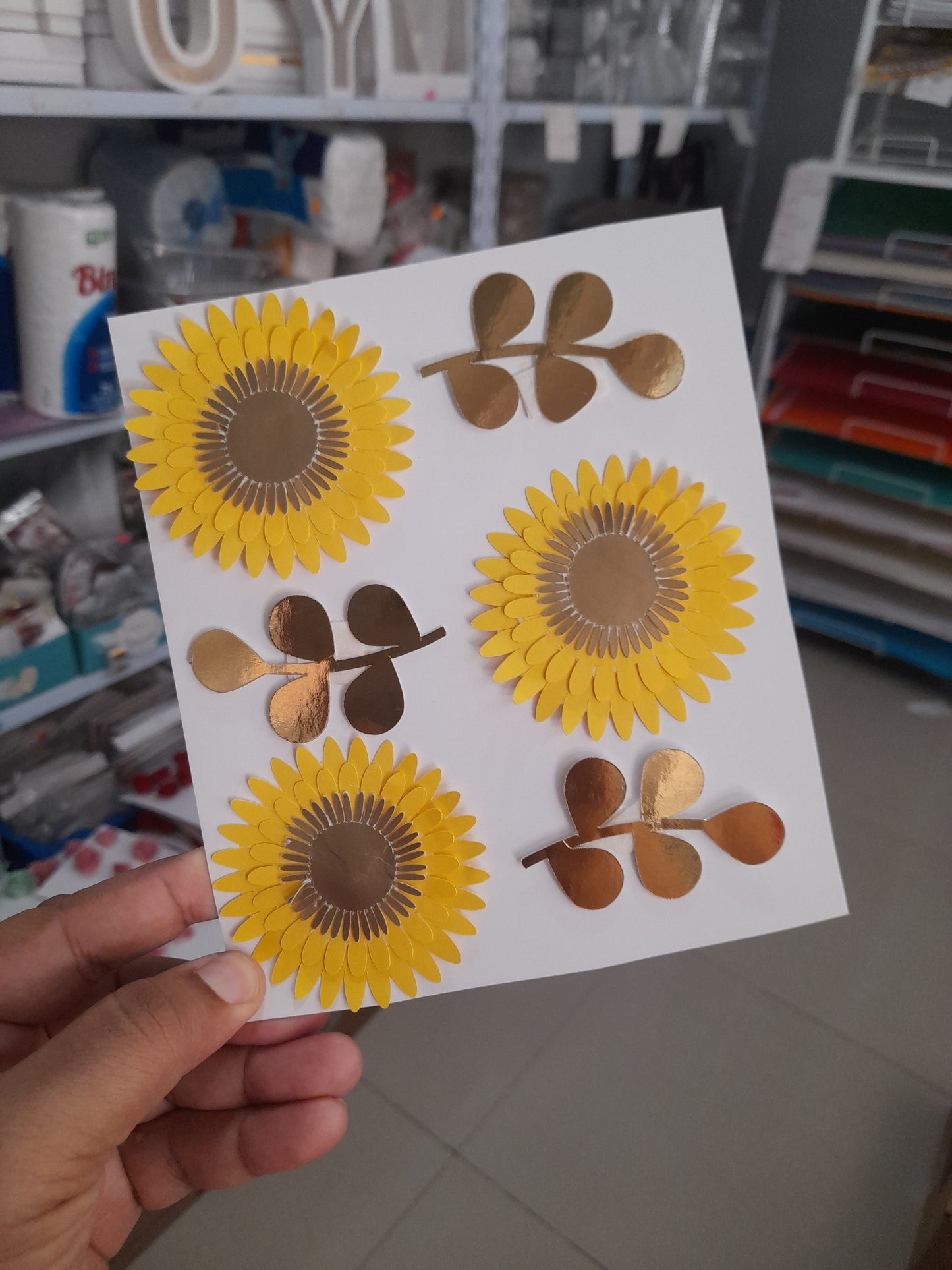 DCF GIRASOL 2.5 PULG