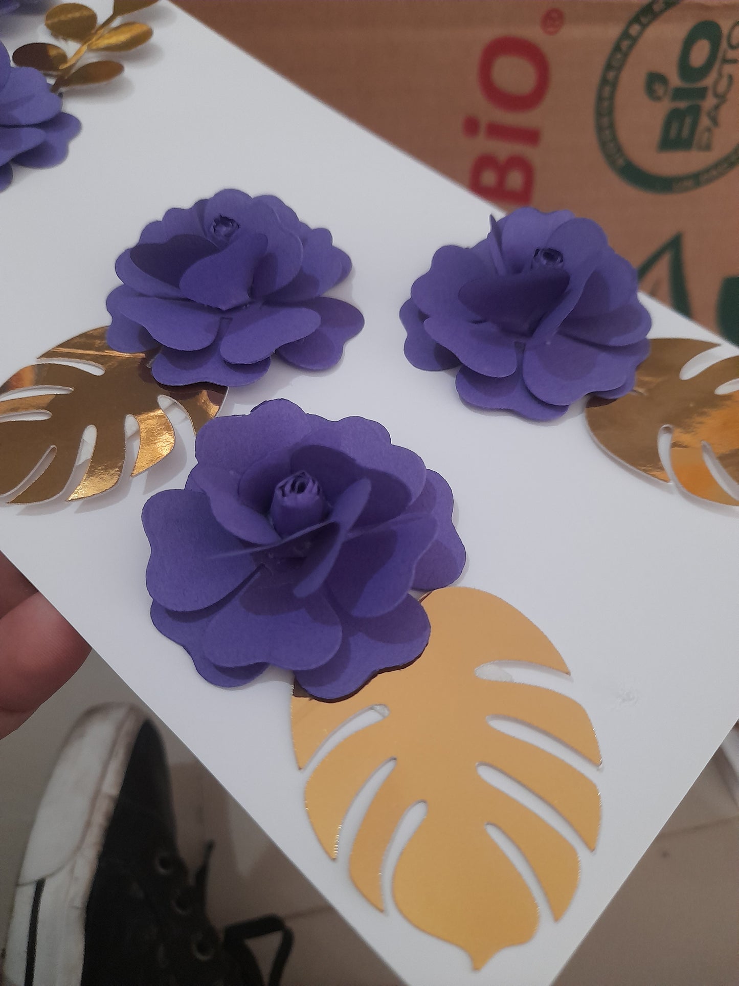 Rosas de papel DCF MMA
