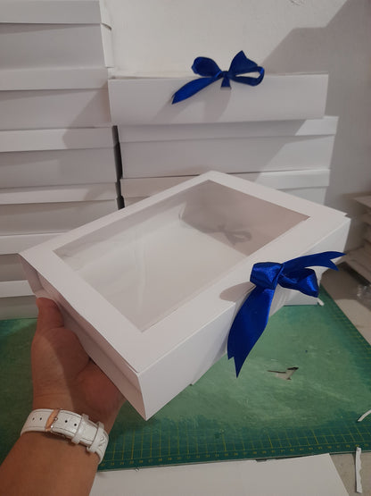 Caja cofre grande CG2 BSA DPM PRO