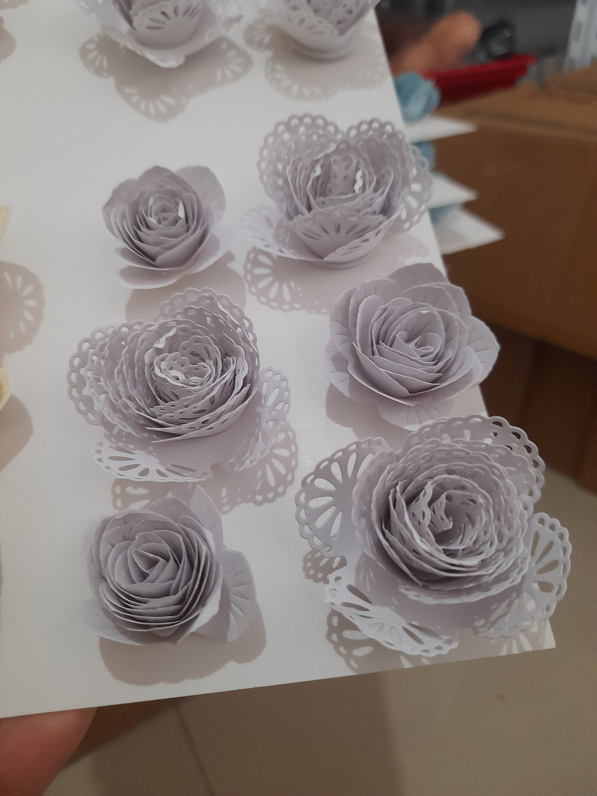 Flores Espirales