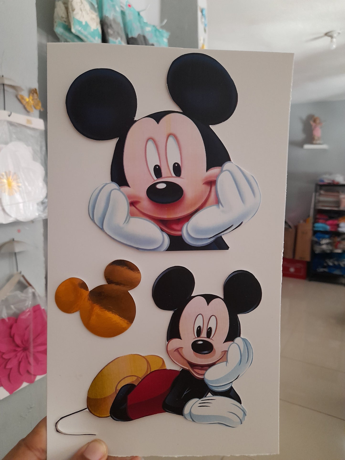 8.2.1 Fotos Mickey