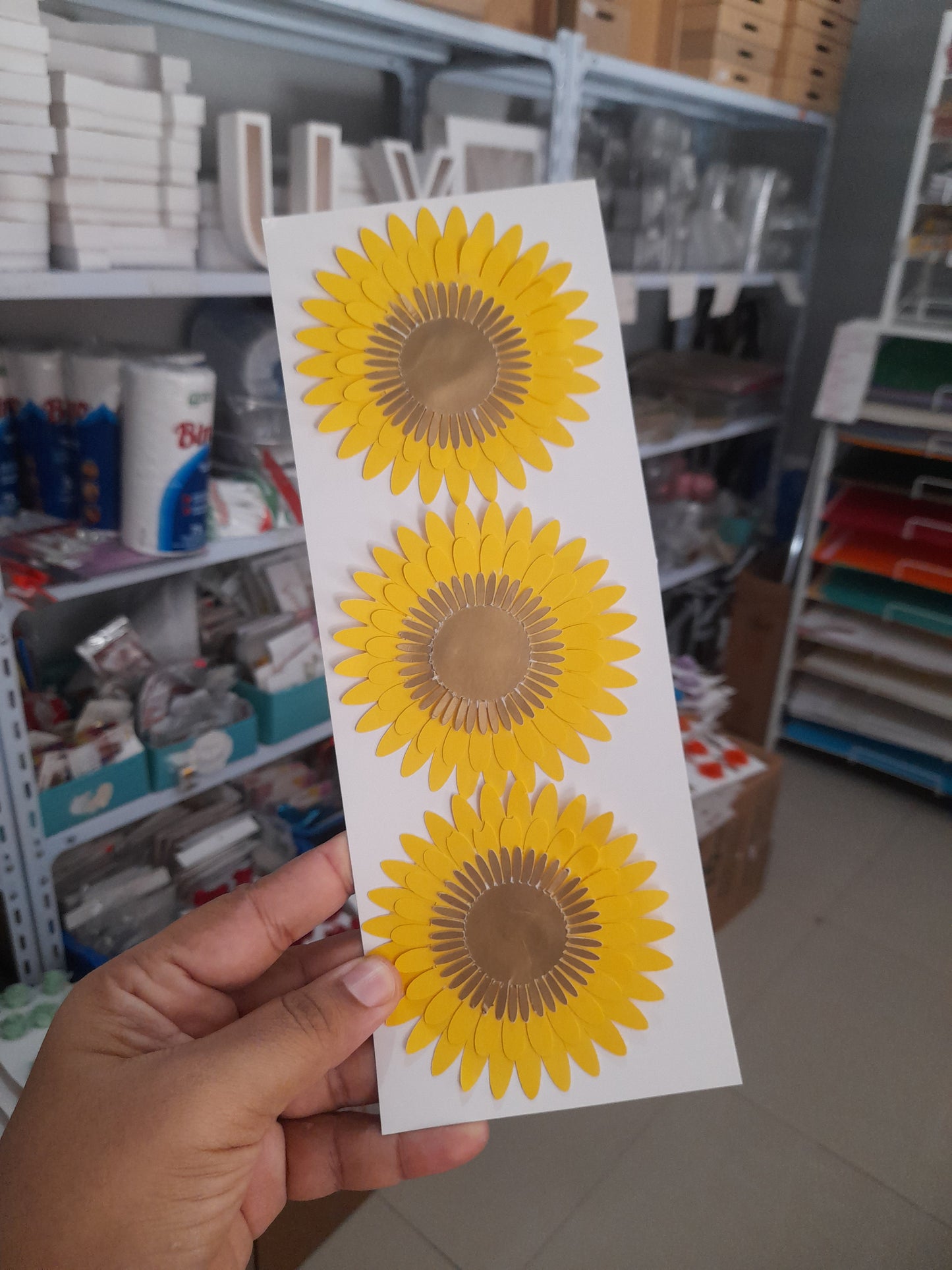 DCF Girasol gd 3.5pulg
