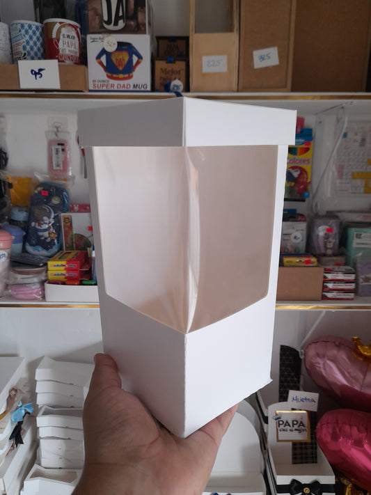 CG2 Caja 4x4x7
